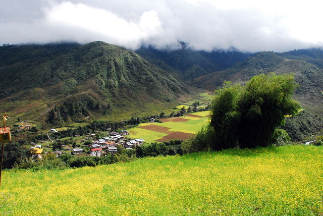 On the Road to Punakha