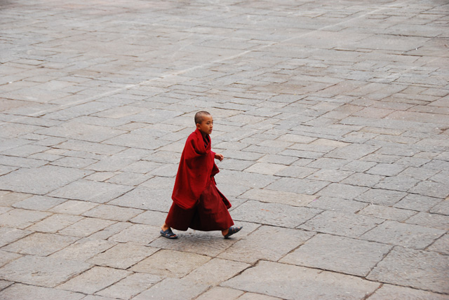 Young Monk, Tashichho Dzong